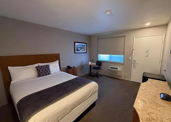 Standard Queen Room